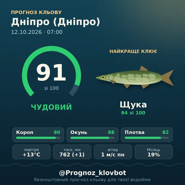 Картинка-прогноз з бота: Дніпро (Дніпро), індекс 91