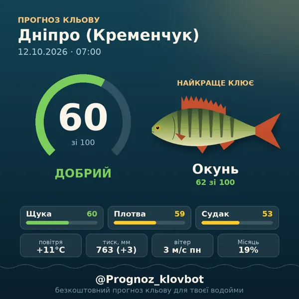 Картинка-прогноз з бота: Дніпро (Кременчук), індекс 60