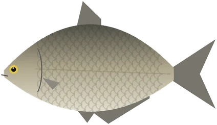 Лящ
